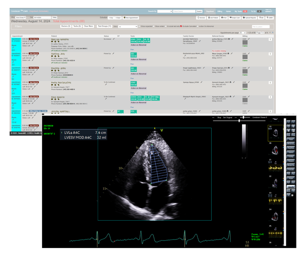 AwareMD_Cerebrum_WSTRUniverse (1)